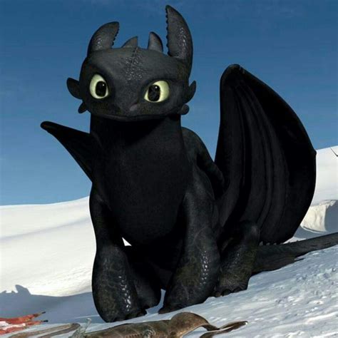 chimuelo dragon